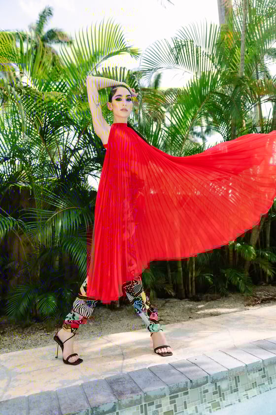 Image of STARBURST PLEATED BIB TOP