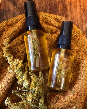 Image of Goldenrod Intensive Night Serum  (seasonal)