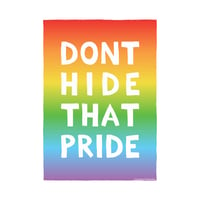 Don't Hide That Pride (rainbow)
