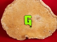 Image 5 of GOOP TROOP hat pins