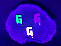 Image 2 of GOOP TROOP hat pins