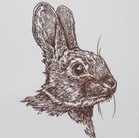 Image 2 of Brown Rabbit