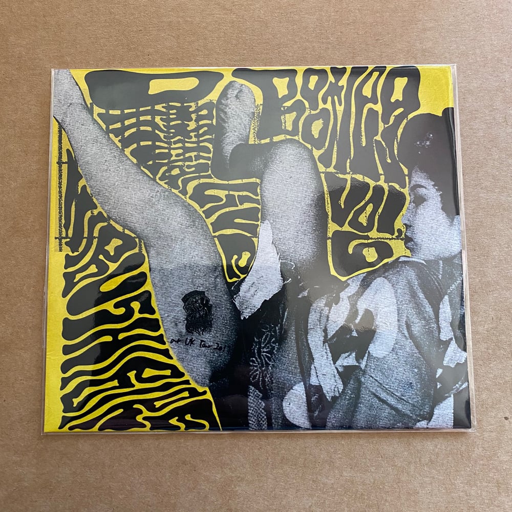 HIBUSHIBIRE 'Official Live Bootleg Vol 6' Japanese CD