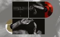 Image 2 of Fawn Limbs 'Darwin Falls' 12"