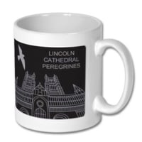 Image 1 of Lincoln Cathedral Peregrine Mug