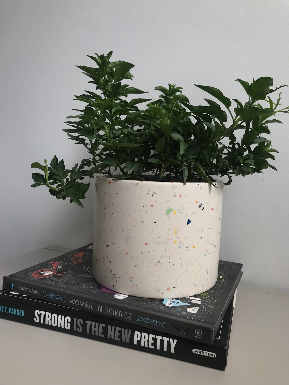 Image of Large Terrazzo Zero Waste Round Planters