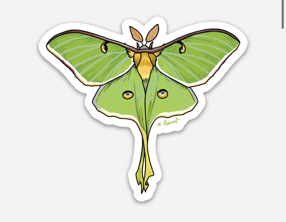 Image of Luna Moth Sticker