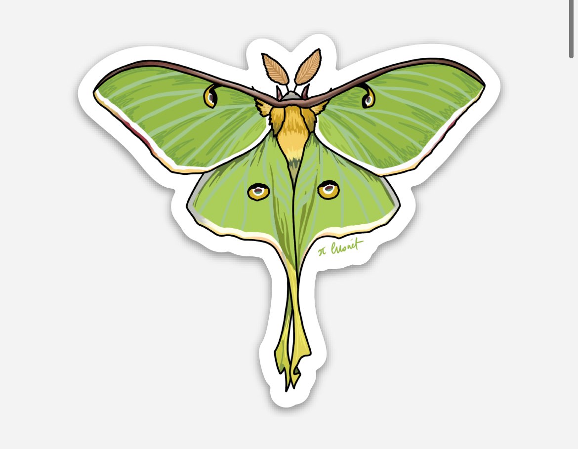 Moon moth Sticker for Sale by lazydogarts