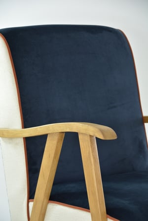 Image of Fauteuil Tricolore