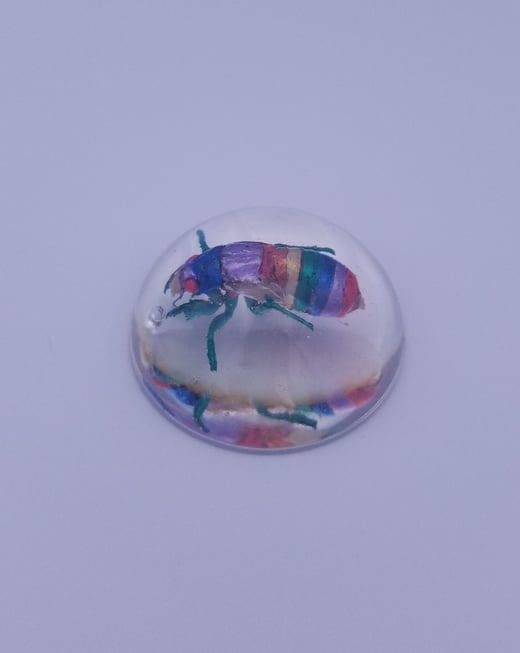 REAL Rainbow PRIDE Brood X Periodical Cicada Nymph in Resin