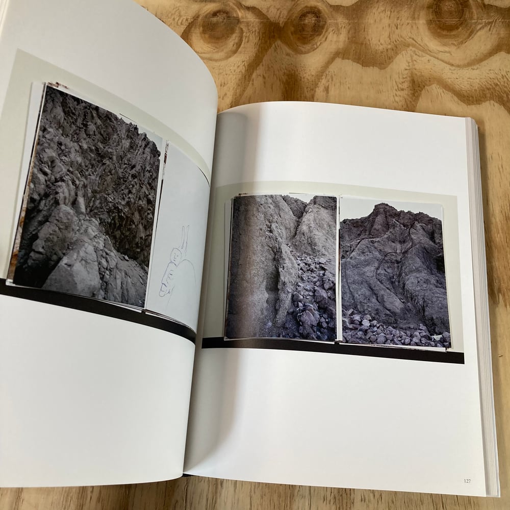  Boris Mikhailov - Bücher Books: Structures of Madness, or Why Shepherds Living in the Mountains…