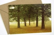 Image of Five Trees Postcard w/Envelope - Boise National Forest