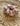 Hawaiʻi Summers Scrunchie