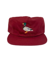 Image 1 of Quack Hat Burgundy 