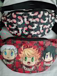 Assorted Fanny Packs