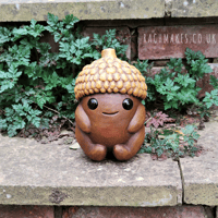 Image 5 of Mega Acorn Baby