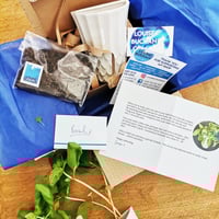 Image 1 of Grow Your Own Herb Wall