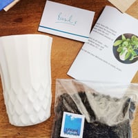 Image 2 of Grow Your Own Herb Wall