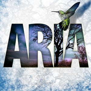 Image of ARIA Self Titled EP