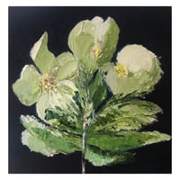 ‘Flower Stems’ 2021 Oil on Canvas