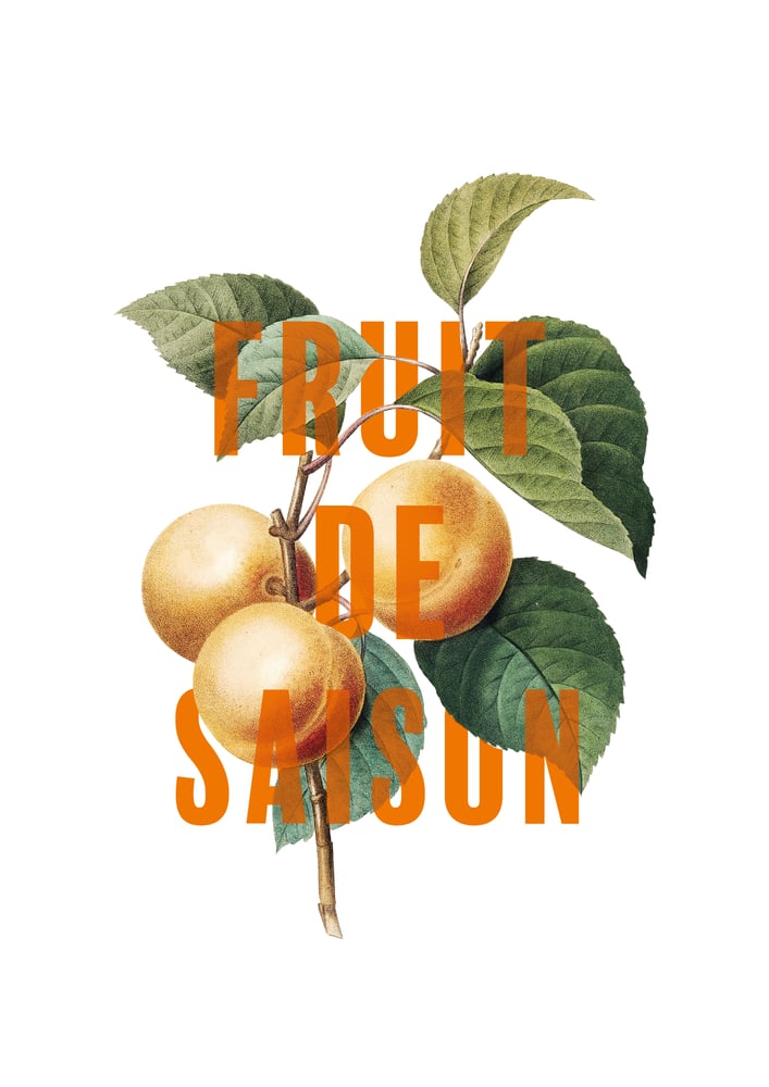 Image of Fruit de saison