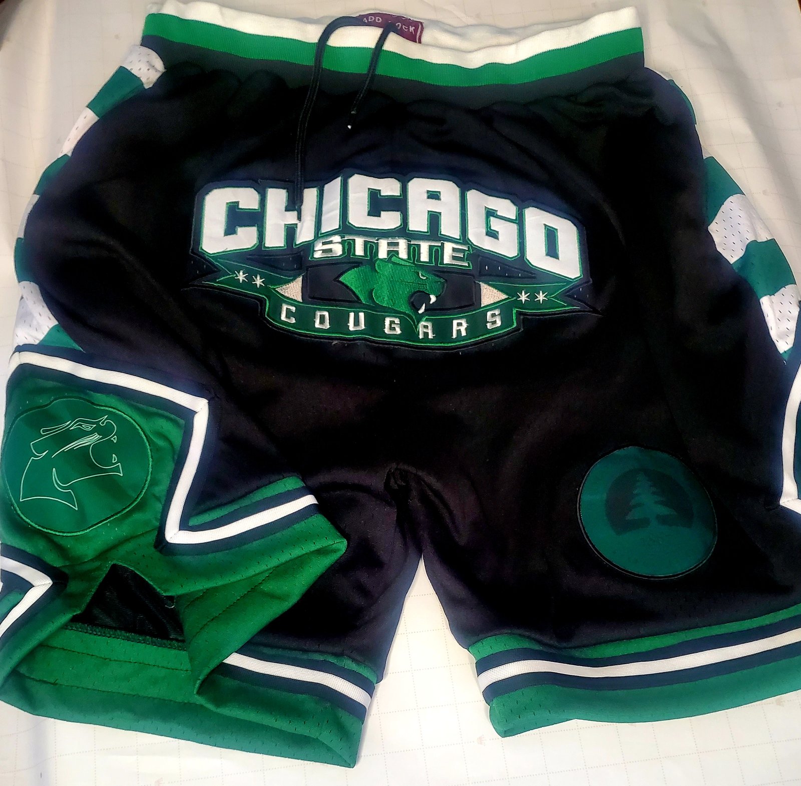 Chicago Bulls Green JUST DON Shorts