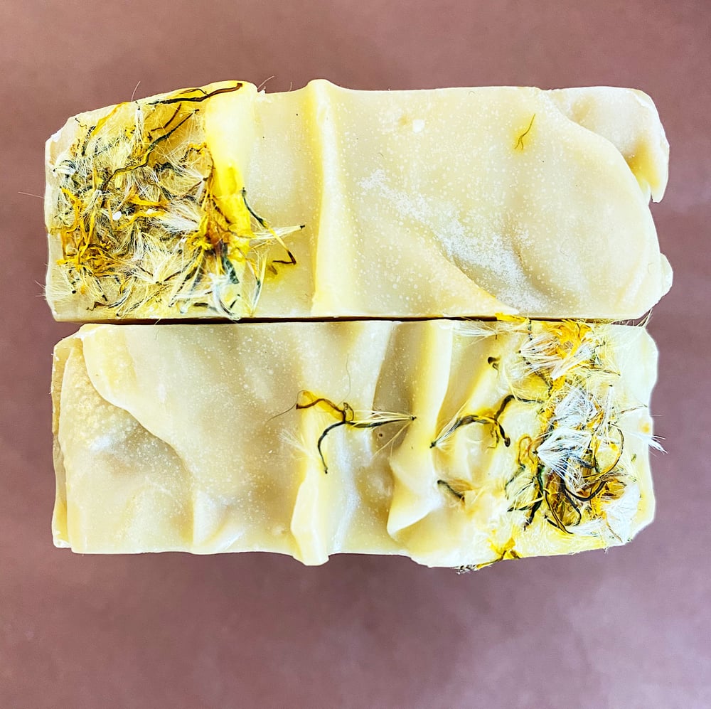 Image of Wildcrafted Spring Dandelion Soap with Lavender, Grapefruit & Petitgrain