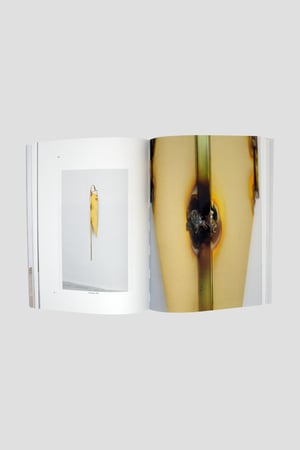 Tarik Kiswanson - Mirrorbody