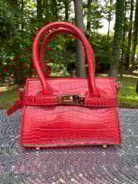 Image 2 of “Mini Birkin” Lengthy Lady Bag