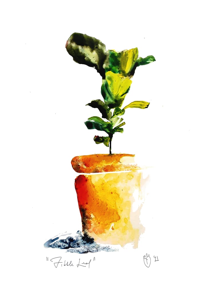 Image of "Fiddle Leaf" Unframed Matte Print