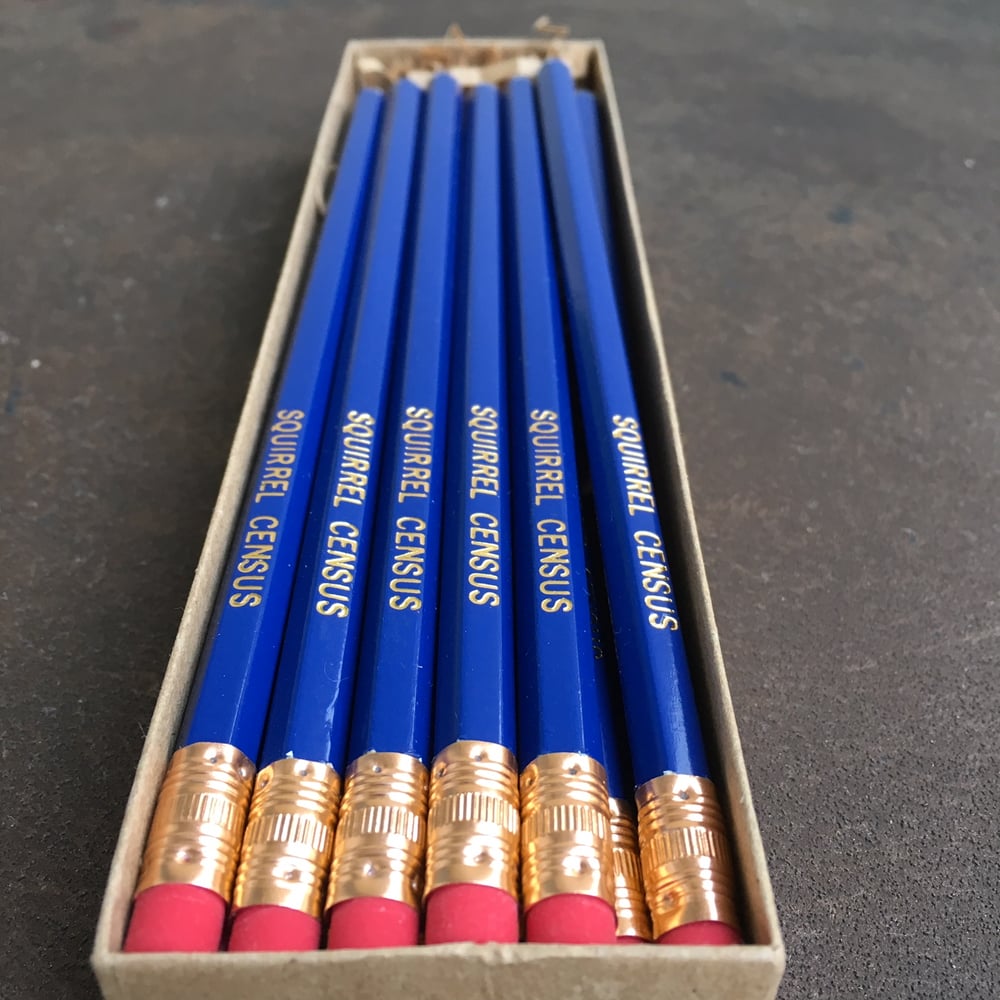 Image of 12-Pack of Squirrel Census Pencils