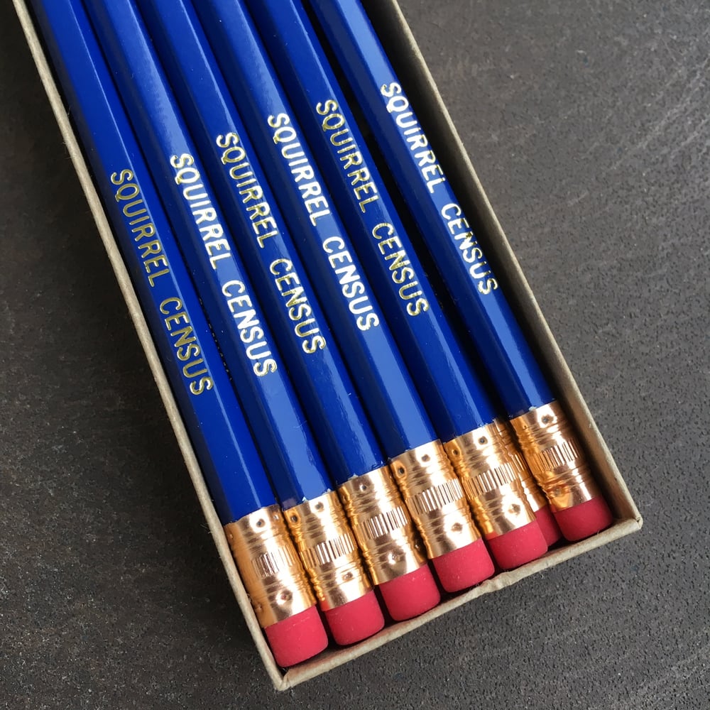 Image of 12-Pack of Squirrel Census Pencils