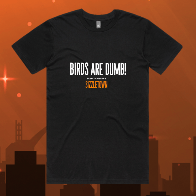 Image of ‘BIRDS ARE DUMB!’ Black Tee