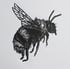 Bumblebee mini Image 3