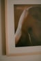 Image of CLAVICLE | "Presente·hoy"