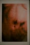 Image of IN ANOTHER SKIN 1 | "Presente·hoy"