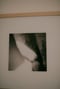 Image of KNEES | "Presente·hoy"
