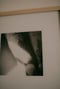 Image of KNEES | "Presente·hoy"