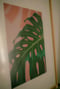 Image of MONSTERA | "Presente·Hoy"