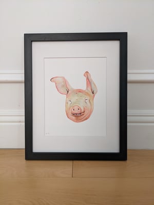 Pig