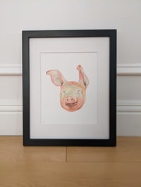 Image 2 of Pig