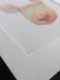 Image 4 of Pig