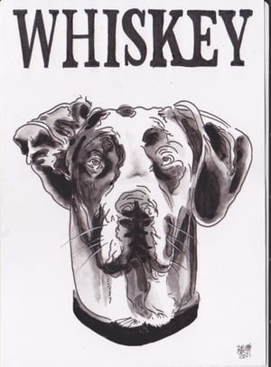 Image of ZINE + BOOZE HOUND Bundle