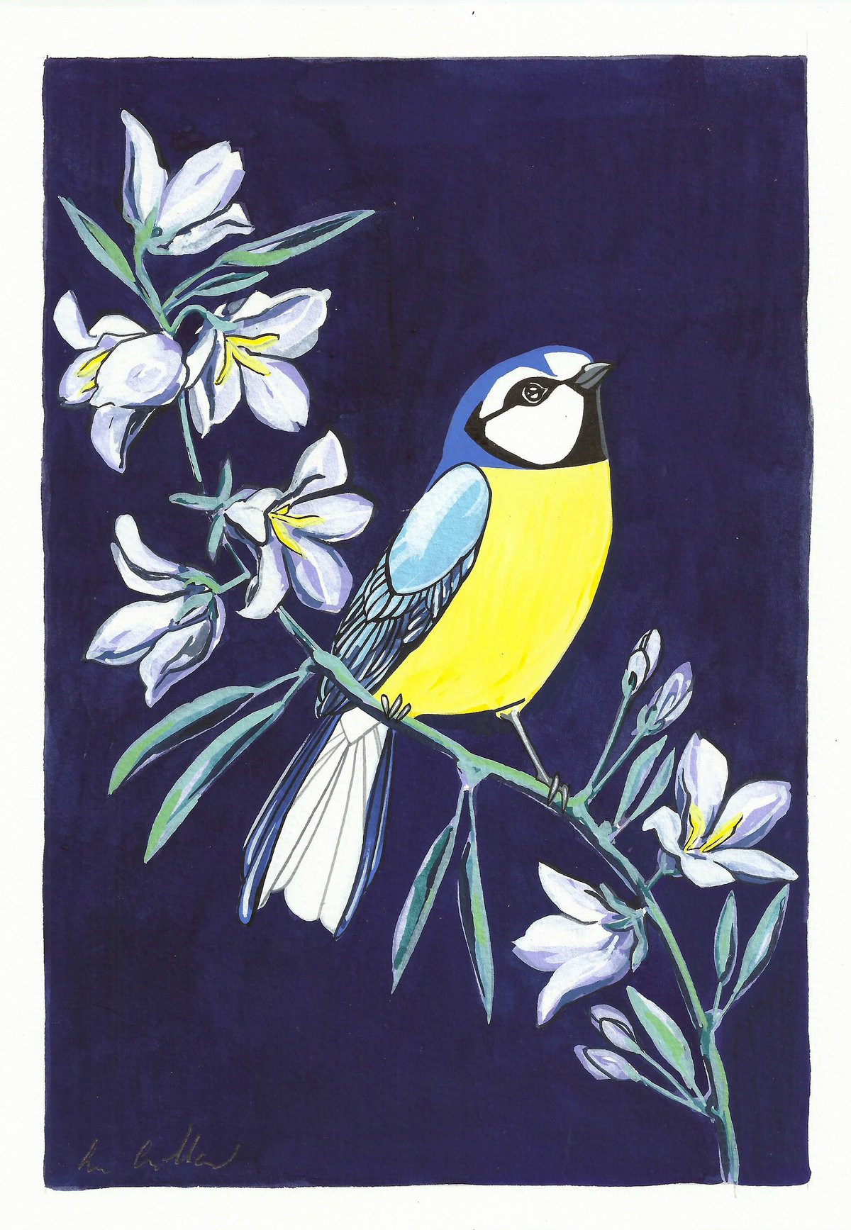 Image of Bluetit and Bellflower