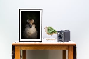 Image of Who's Laughing Now?