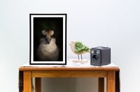 Image 2 of Who's Laughing Now?