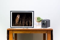 Image 2 of The Night Hunter