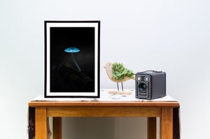 Image of The Deep Forest Blue