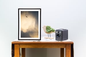 Image of End Of The World