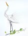 Image of Contemporary Egret Bird Original Watercolor Painting 